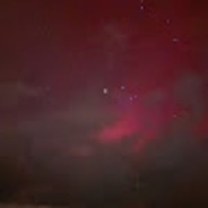 Meet your Posher, Barb